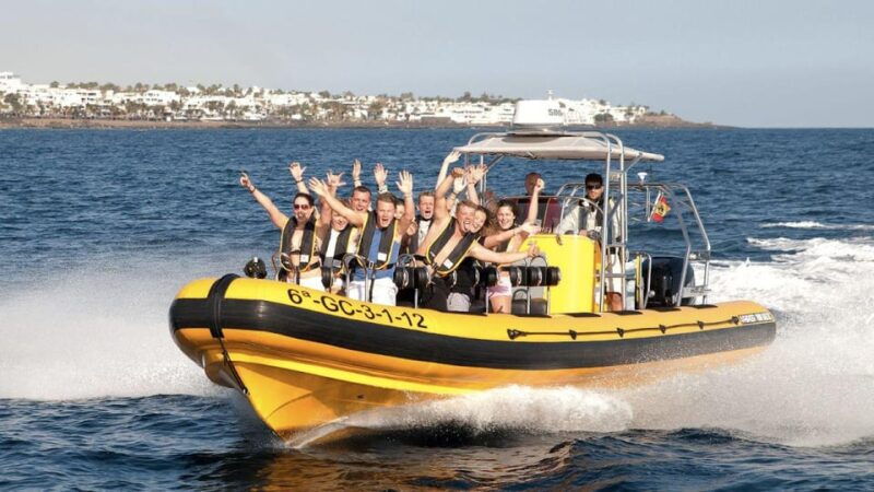 Lanzarote: Dolphin Watching by Speedboat - Good To Know