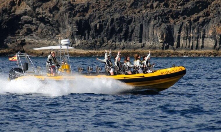 Lanzarote: Dolphin Watching by Speedboat - Exploring the Old Port of Puerto Del Carmen