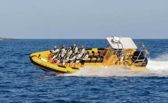 Lanzarote: Dolphin Watching by Speedboat - Memorable Speedboat Experience