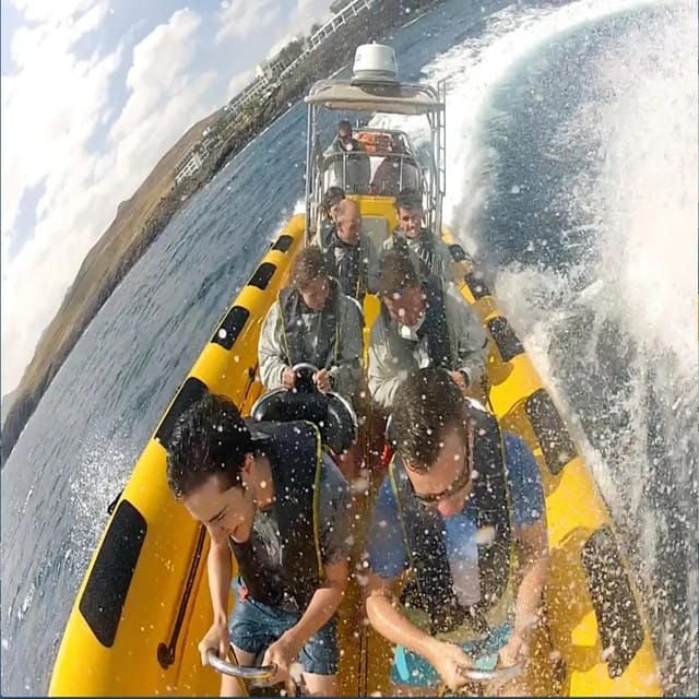 Lanzarote: Dolphin Watching by Speedboat - Common Questions