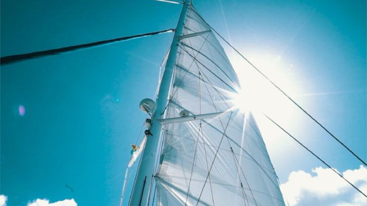 Lanzarote: Dolphin-Watching Sunset Cruise With Transfers - Activity Details
