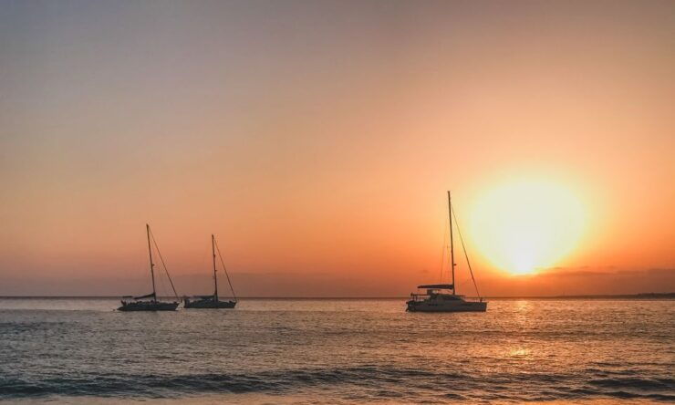 Lanzarote: Dolphin-Watching Sunset Cruise With Transfers - Experience
