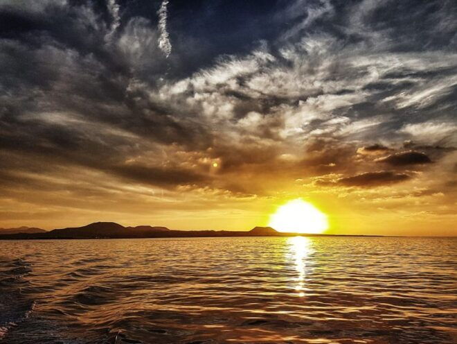 Lanzarote: Dolphin-Watching Sunset Cruise With Transfers - Vegetarian and Dietary Options