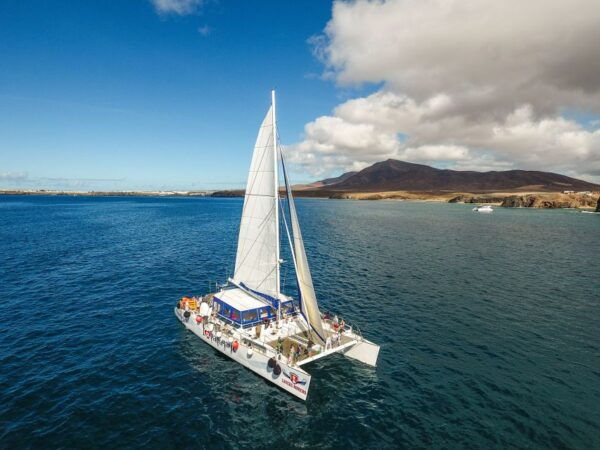 Lanzarote: Dolphin-Watching Sunset Cruise With Transfers - The Sum Up