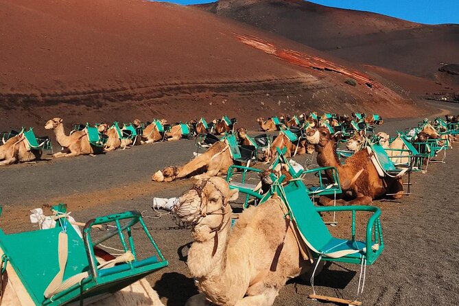Lanzarote Grand Tour - Tasting Volcanic Wine and Exploring Lava Caves