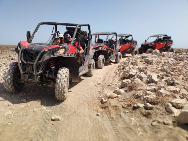 Lanzarote: Guided Can-Am Trail Buggy Tour - Experience Highlights