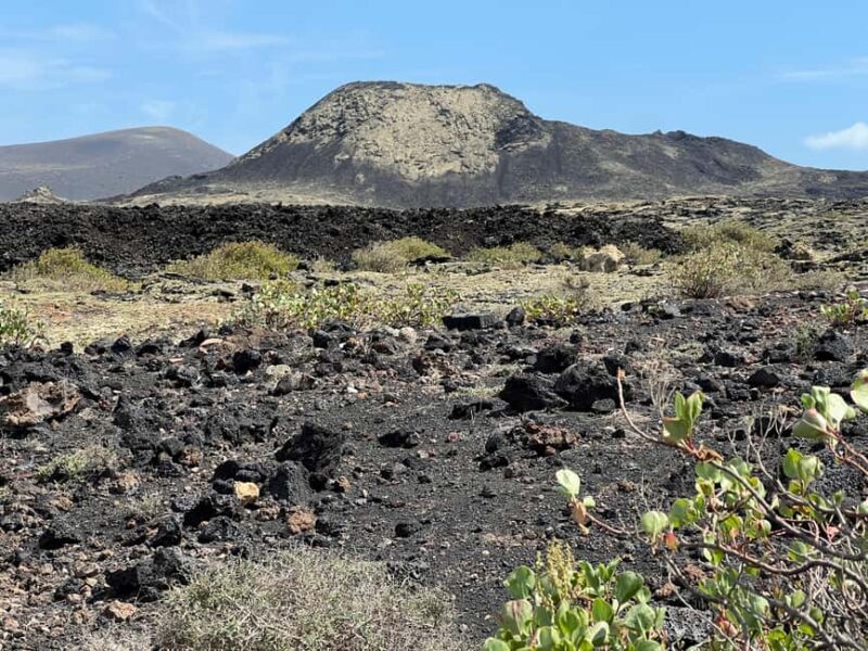 Lanzarote: Guided Hike discover volcano history and culture - The Experience in Practice: A Closer Look