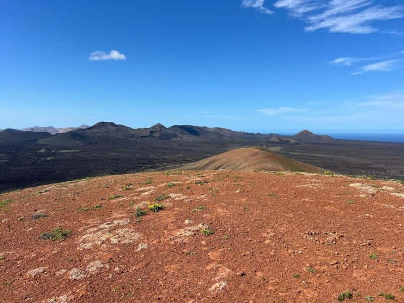 Lanzarote: Guided Hike discover volcano history and culture - Final Thoughts: Is This Tour Worth It?  