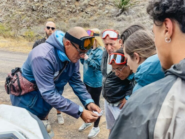 Lanzarote: Guided Off-Road Volcano Buggy Tour With Pickup - Experience the Wilderness