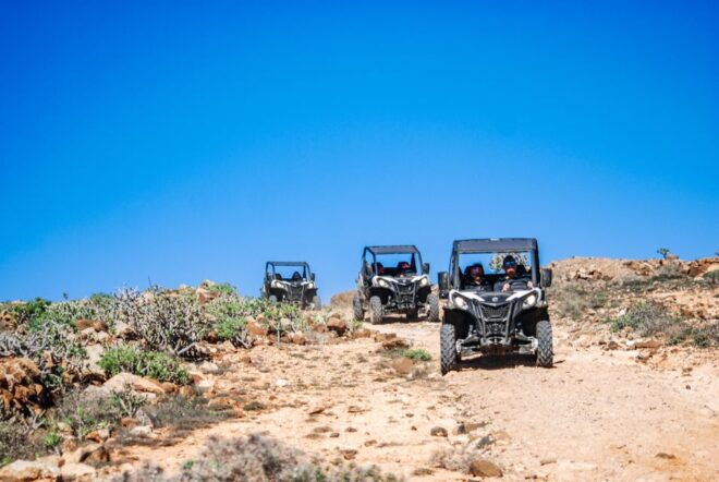 Lanzarote: Guided Off-Road Volcano Buggy Tour With Pickup - Adrenaline-Pumping Off-Road Ride