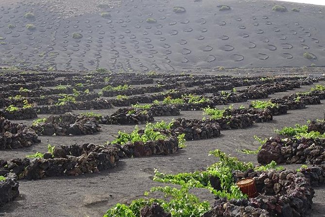 Lanzarote Highlights. Private Tour With Pickup (Price per Vehicle, Not P.P.) - Common Questions
