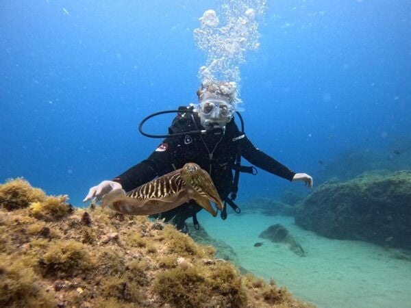 Lanzarote: Intro to Diving Experience for Beginners - Booking Information
