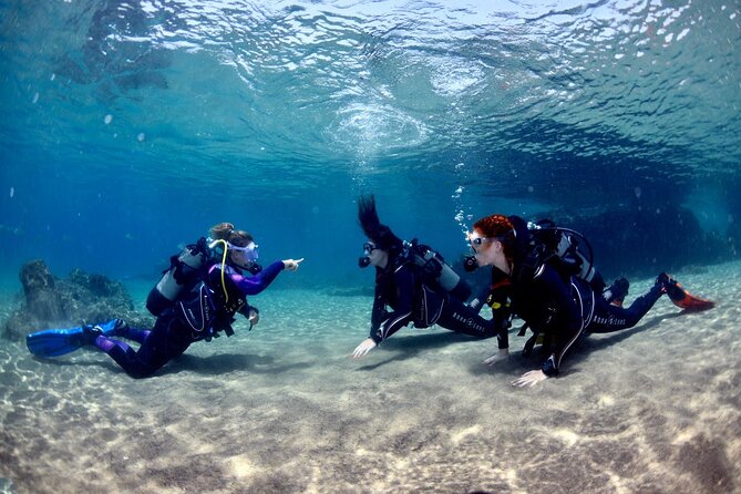 Lanzarote Introductory Scuba Diving Experience - Exploring Playa Chica Bay: An Underwater Adventure