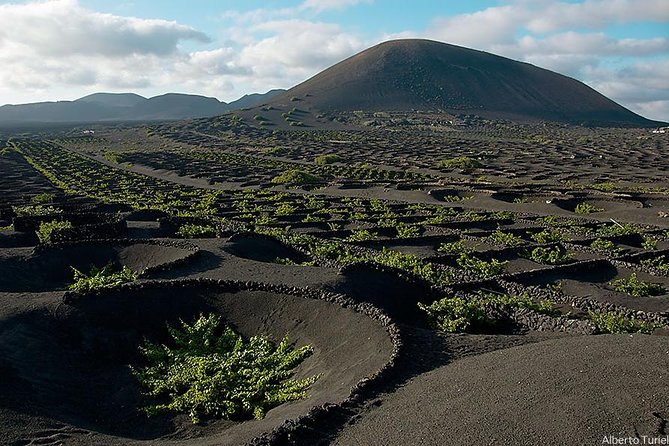 Lanzarote Island Tour (Full-day) - Traveler Photos and Reviews