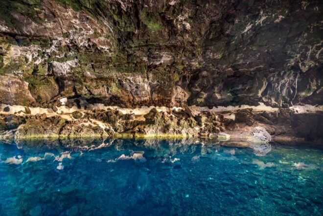 Lanzarote: Jameos Del Agua Entry Ticket - Important Operating Information