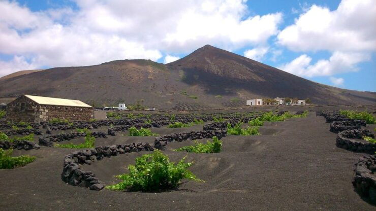 Lanzarote: La Geria Vineyards Hiking Tour - Activity Details