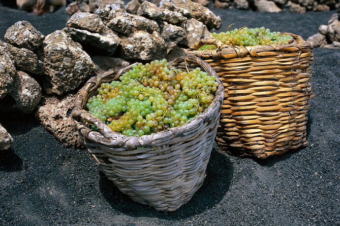 Lanzarote La Geria Vineyards Small Group Walking Tour - Pickup and End Points