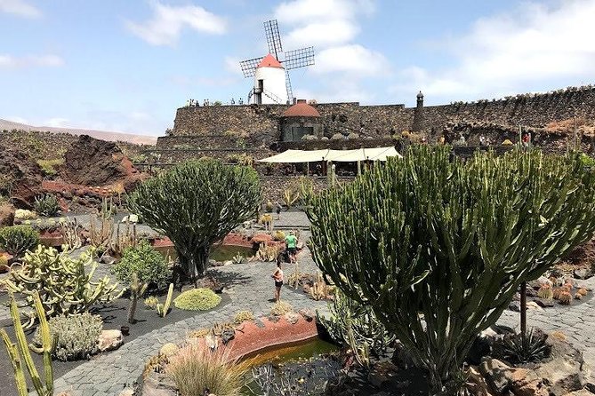 Lanzarote Landscapes Tour Including Timanfaya National Park - Tour Details