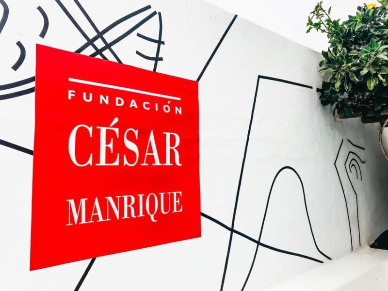Lanzarote: Legacy of César Manrique Guided Tour - Good To Know