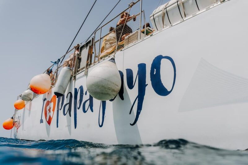 Lanzarote: Papagayo Beaches Cruise for Cruise Ship Passenger - Cruise Overview
