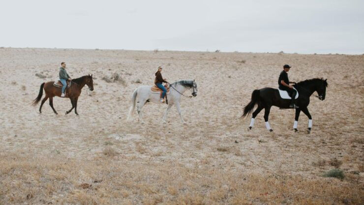 Lanzarote: Private Horseback Riding Tour - Booking Options and Pricing Details