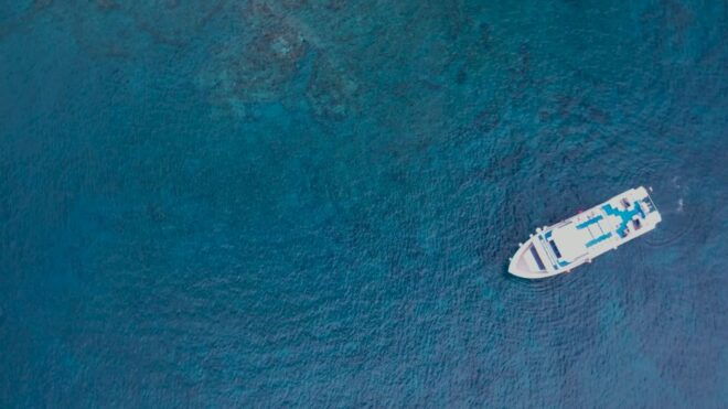 Lanzarote: Puerto Del Carmen & Puerto Calero Boat Transfer - Selecting Participants and Date