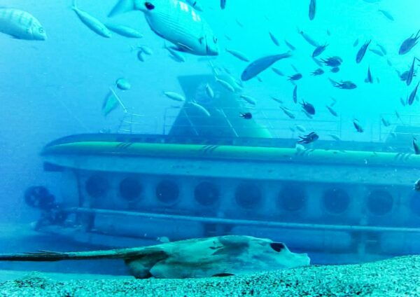Lanzarote: Real Submarine Dive With Hotel Pickup - The Sum Up