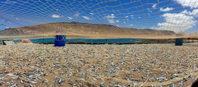 Lanzarote: Return Ferry to La Graciosa With Bus Pickup - Additional Information