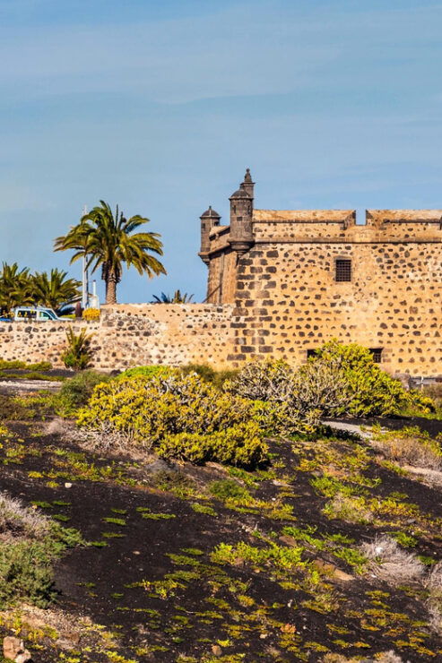 Lanzarote: San José Castle Entry Ticket - Good To Know