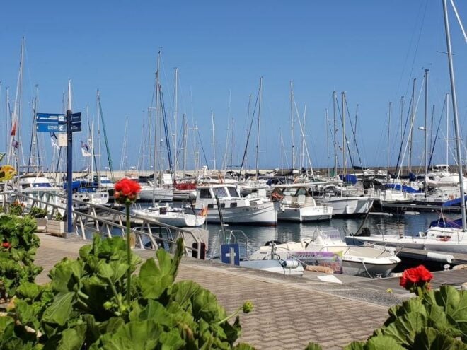 Lanzarote: Sea Safari Experience - Additional Information