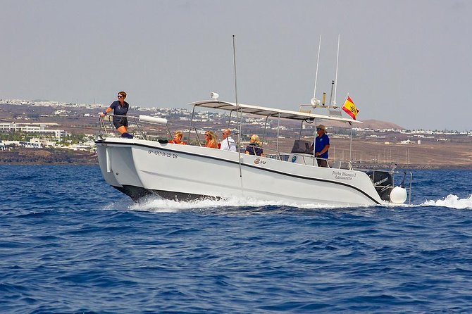 Lanzarote Sea Safari From Puerto Calero - Reviews