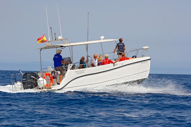 Lanzarote Sea Safari From Puerto Calero - Directions