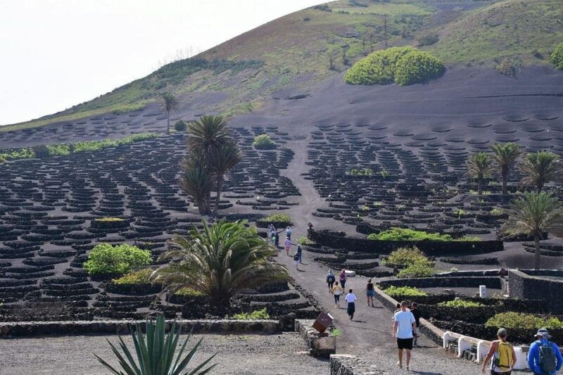 Lanzarote Shopping From Caleta De Fuste (Fuerteventura) - Good To Know
