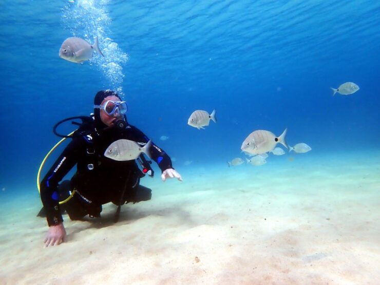 Lanzarote: Small Group Beginner Dive Course Costa Teguise - Experience Highlights