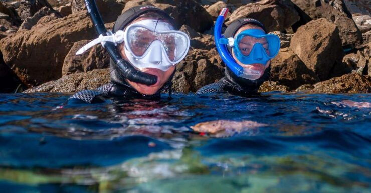 Lanzarote: Snorkel Guided Tour in Papagayo, Natural Park. - Activity Details