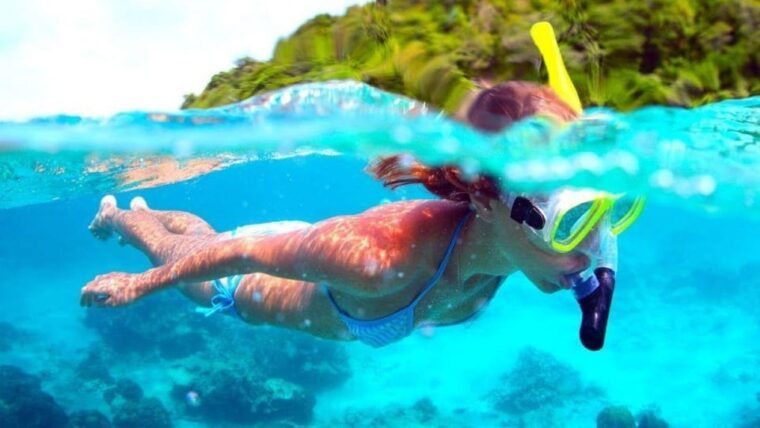 Lanzarote: Snorkeling Tour With Snack and Water - Snorkeling Equipment and Inclusions