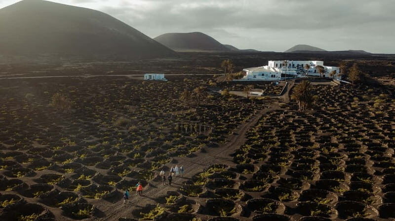Lanzarote: Sunset vineyard tour with wine and chocolate tasting - A detailed look at the Lanzarote Sunset Vineyard Tour