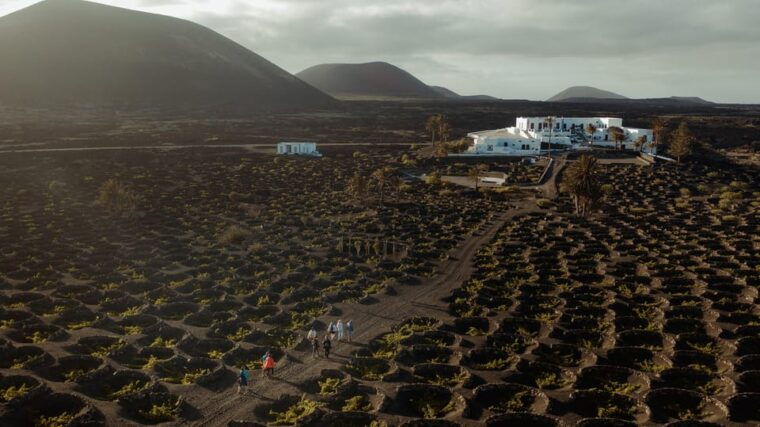 Lanzarote: Sunset Vineyard Tour With Wine and Chocolate Tasting - Guided Vineyard Tour