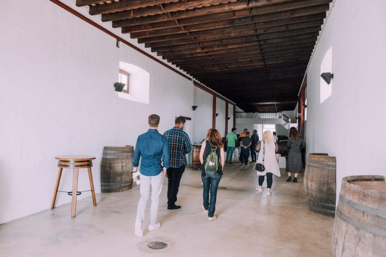 Lanzarote: Sunset Vineyard Tour With Wine and Chocolate Tasting - Wine Tasting and Chocolate Pairing