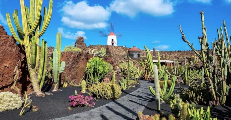 Lanzarote: The Cactus Garden Entry Ticket - Good To Know