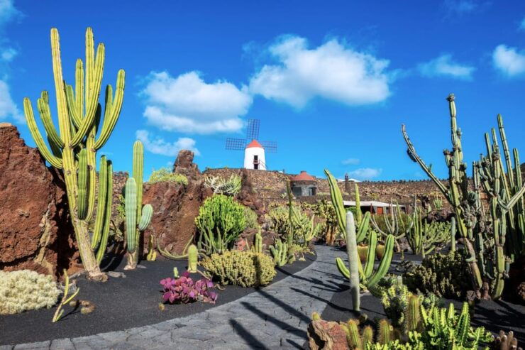 Lanzarote: The Cactus Garden Entry Ticket - Garden Highlights and Features