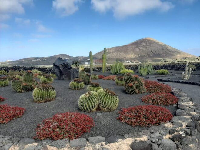 Lanzarote: The Cactus Garden Entry Ticket - Customer Ratings and Feedback