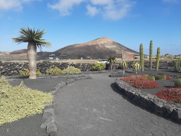 Lanzarote: The Cactus Garden Entry Ticket - Getting to the Garden