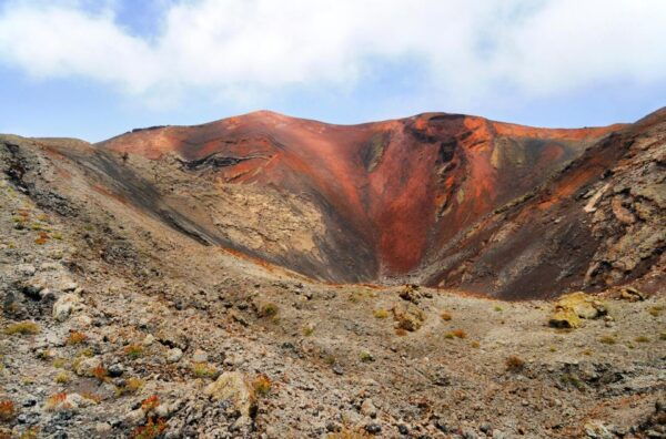 Lanzarote: Timanfaya National Park Bus Tour W/ Entry Ticket - The Sum Up