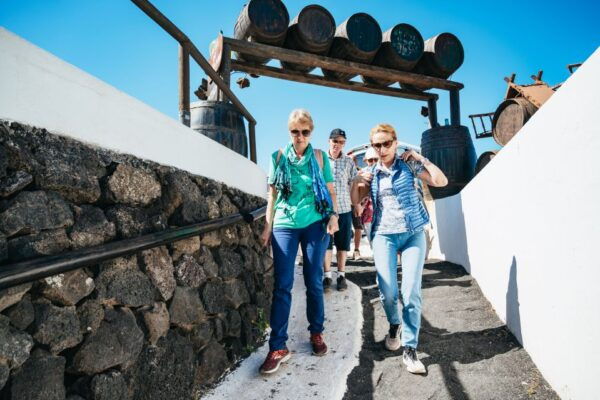 Lanzarote: Timanfaya National Park & La Geria Tour - The Sum Up