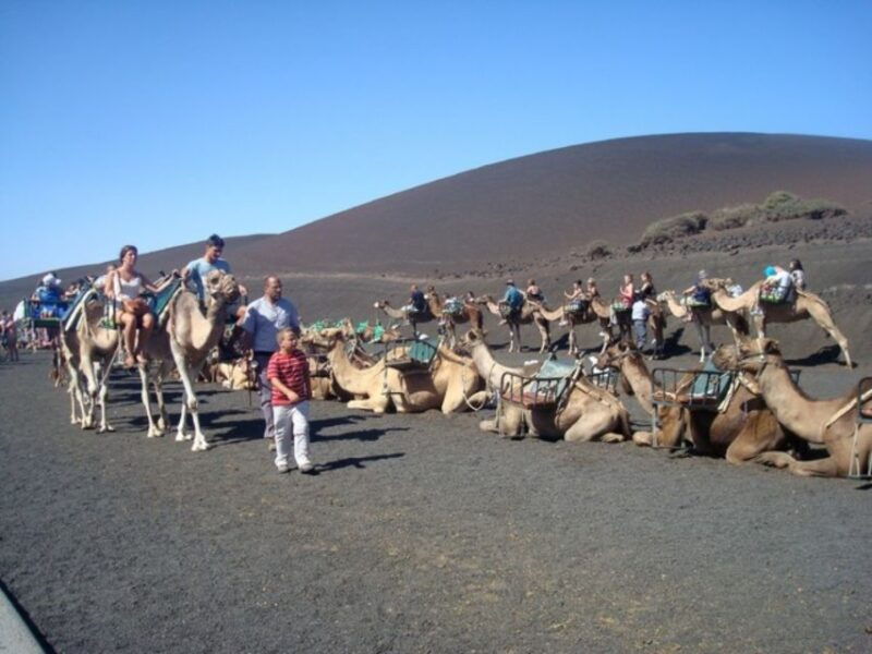 Lanzarote: Timanfaya National Park Tour - Exploring the Lunar Landscapes