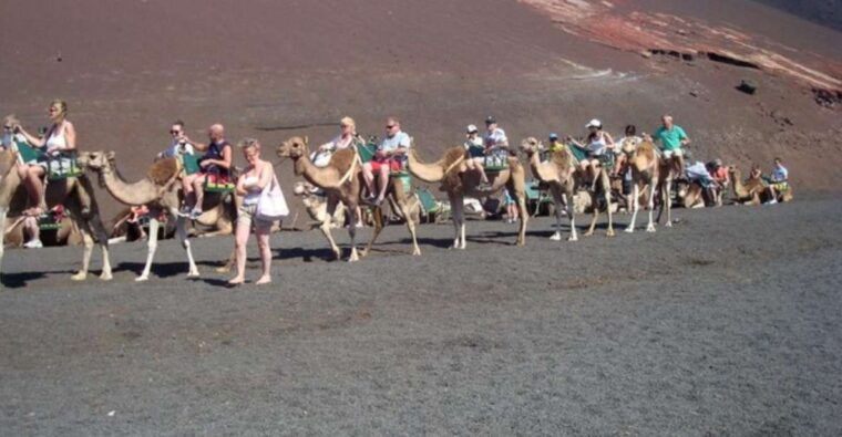 Lanzarote: Timanfaya National Park Tour - Geothermal Wonders of the Park