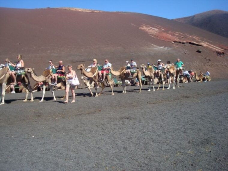 Lanzarote: Timanfaya National Park Tour - Recommendations for Visiting Timanfaya