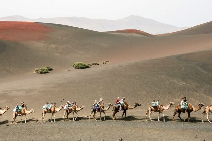 Lanzarote: Timanfaya National Park Volcanic Craters Tour - Booking Details