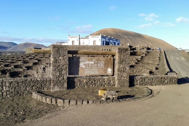 Lanzarote: Timanfaya National Park Volcanic Craters Tour - Customer Reviews